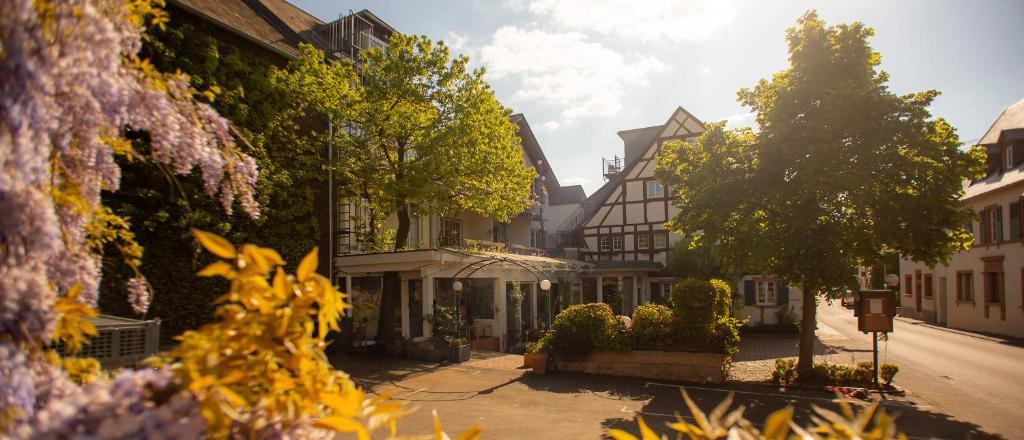 Bernkastel-Kues Hotel image 1