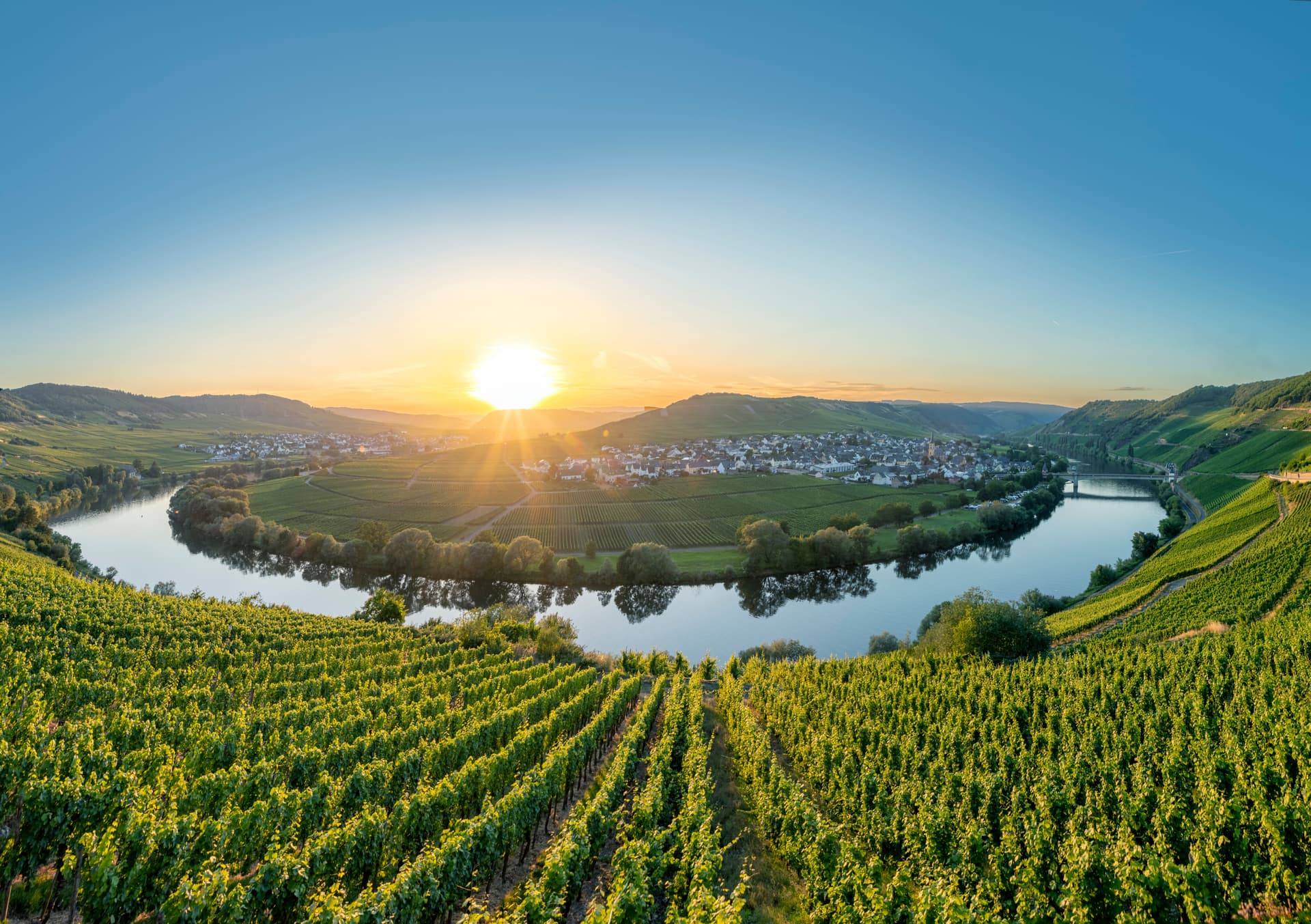 Vineyards overlooking a river bend and town at sunset, Moselle region.