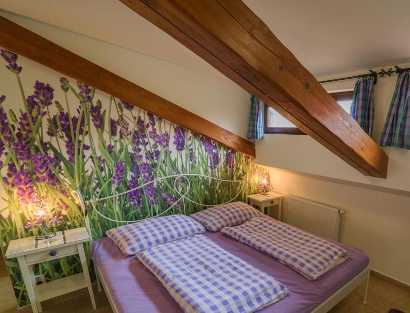 Hôtel Melnik image 2
