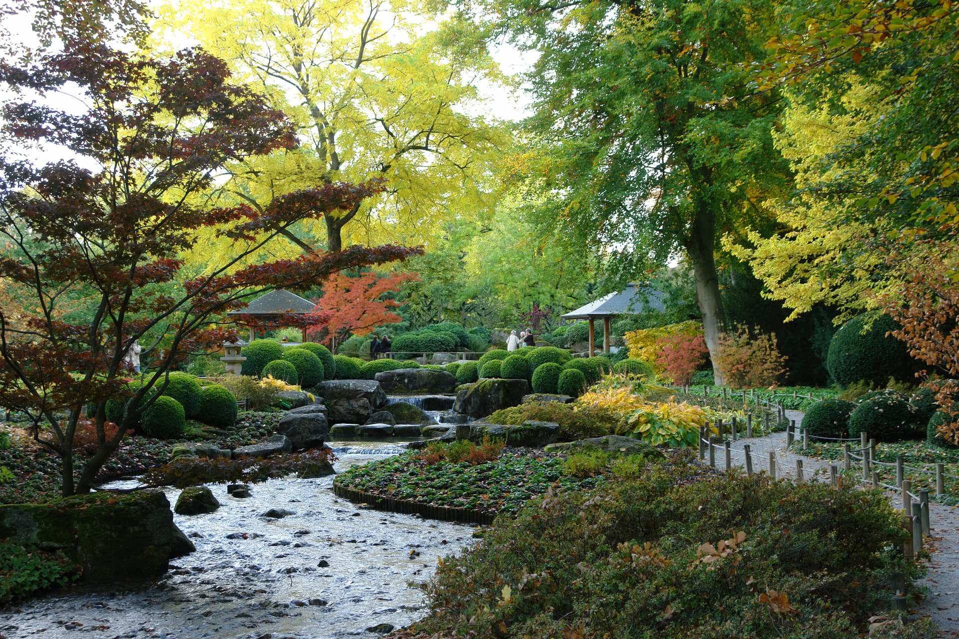 Stream flowing through Augsburg botanical garden with autumn foliage and manicured shrubs.