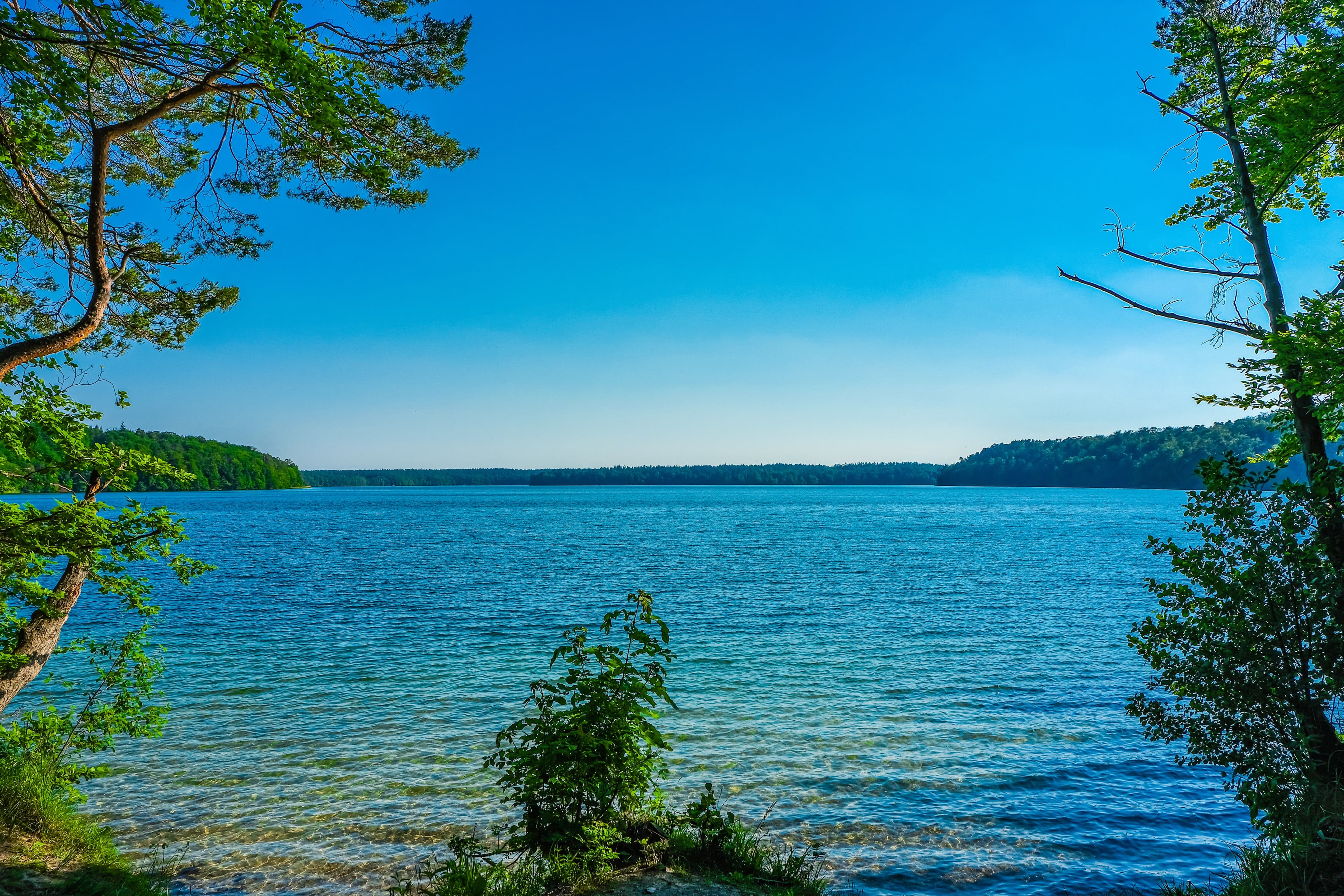 Nordufer Stechlinsee, Brandenburg
