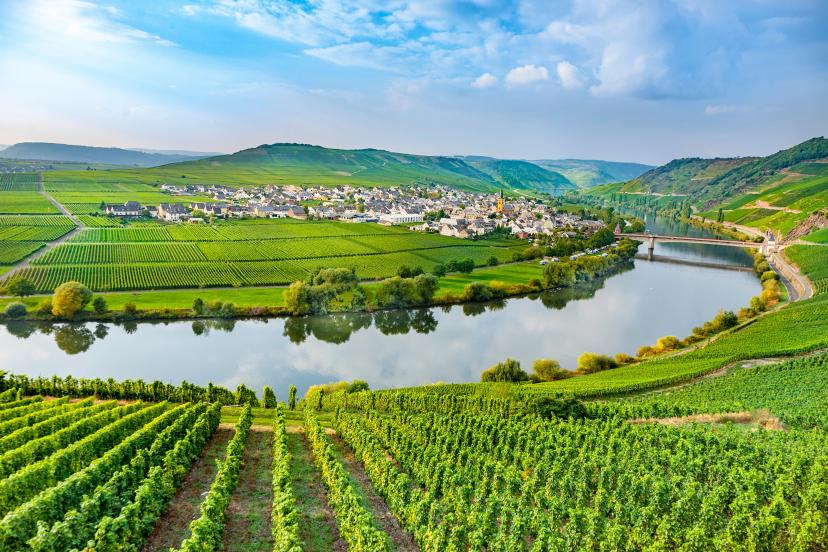 Moselle Valley image 1