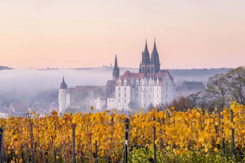 Meissen image 1