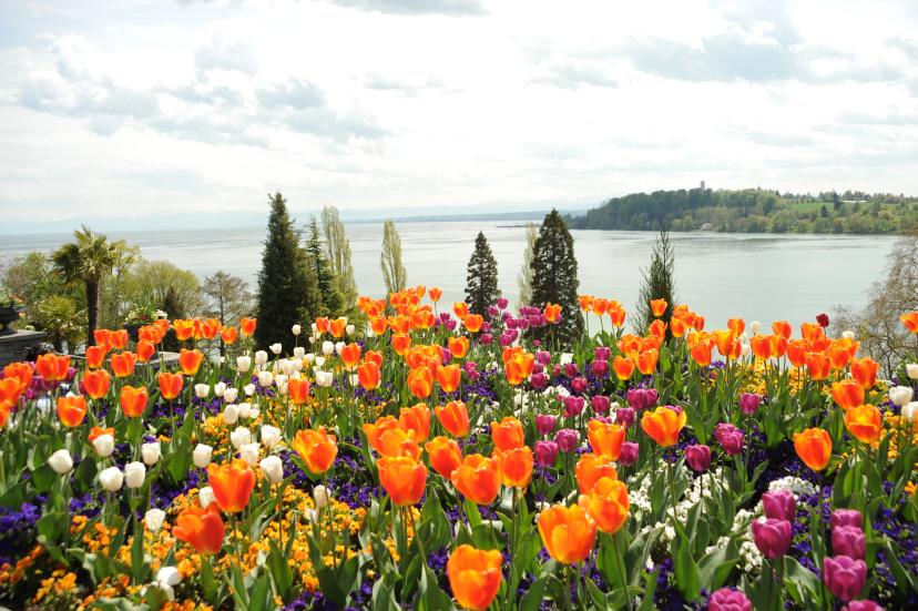 Mainau image 1