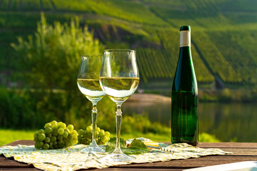 Rhine Valley Pinot image 1