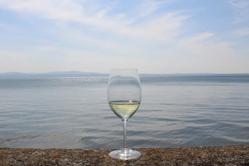 Lake Constance White Wines & Apple Cider image 1