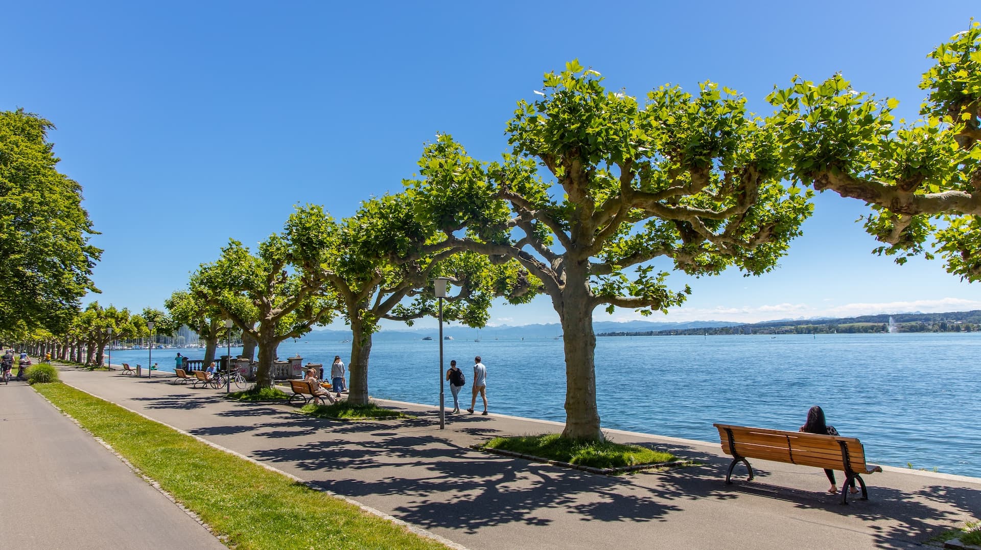Promenade along Lake Constance in Konstanz with plane trees and distant mountains in summer.